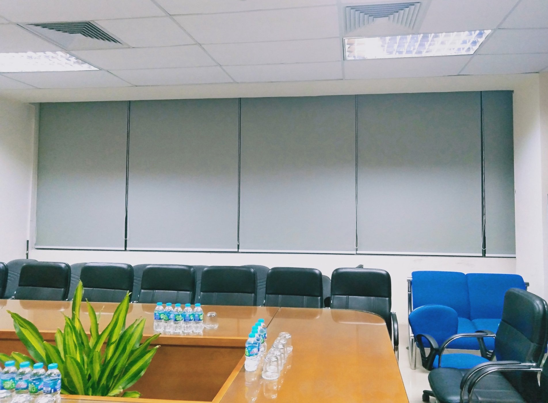 Rem Cuon Tron Van Phonghn