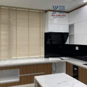 Rem Nhua Gia Go Phong Tam