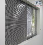 Rem Sao Nhom Tai Ha Dong